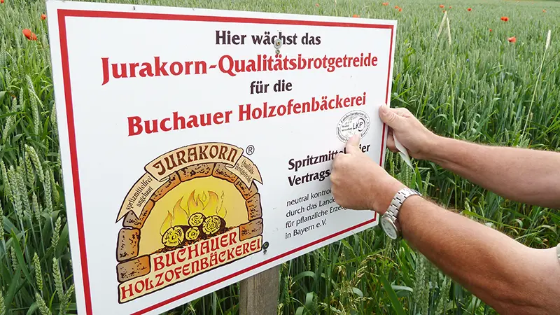 Auf eine Feldtafel, die dieses Feld als Lieferanten der Buchauer Holzofenbäckerei ausweist, wird ein Prüfsiegel aufgeklebt