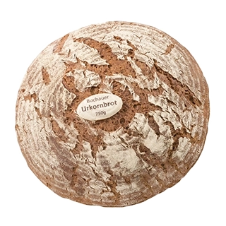 Ein rundes Brot mit leicht bemehlter, angerissener Brotkruste